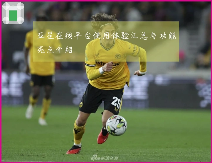 亚星在线平台使用体验汇总与功能亮点介绍