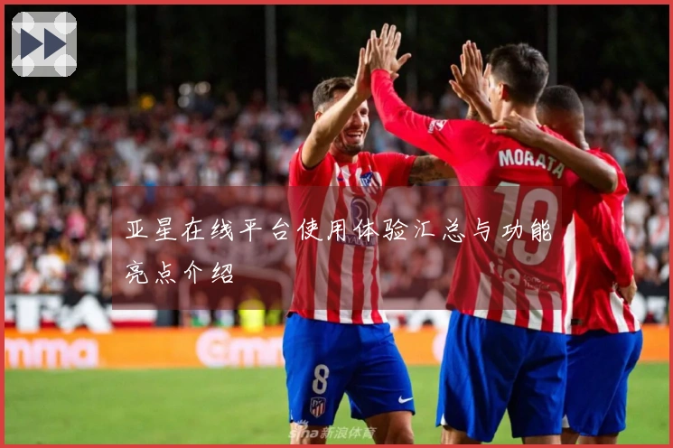 亚星在线平台使用体验汇总与功能亮点介绍