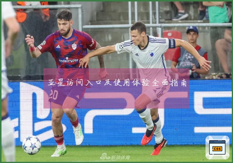 亚星访问入口及使用体验全面指南